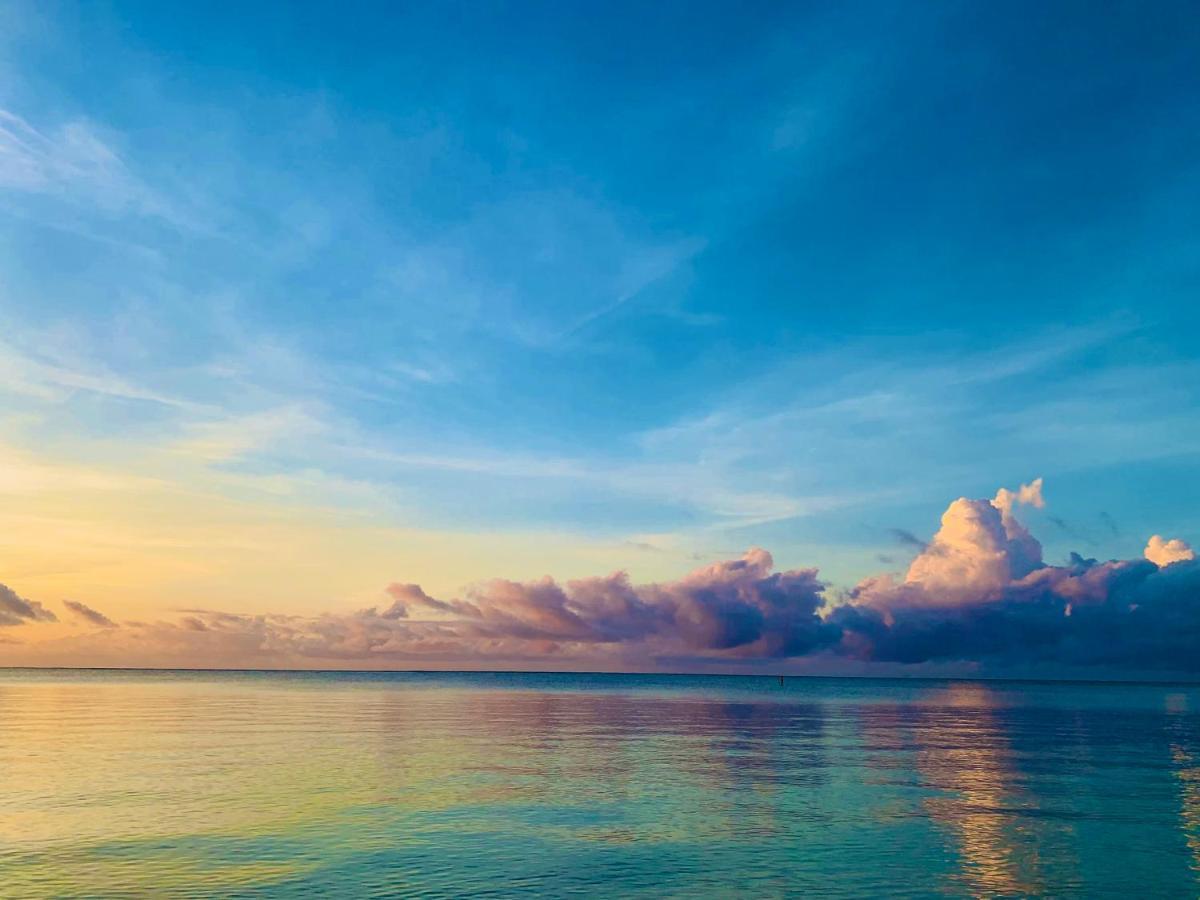 A Rocha Eco-Lodge & Conservation Centre Watamu Exteriér fotografie