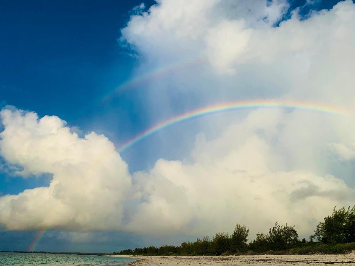 A Rocha Eco-Lodge & Conservation Centre Watamu Exteriér fotografie