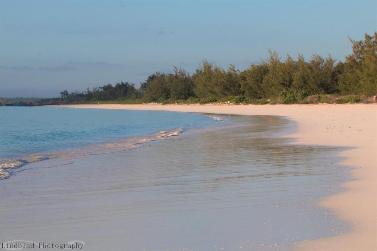 A Rocha Eco-Lodge & Conservation Centre Watamu Exteriér fotografie