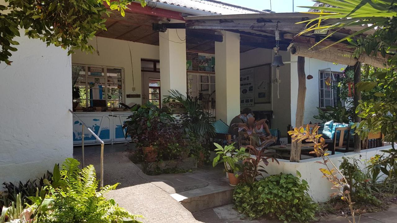 A Rocha Eco-Lodge & Conservation Centre Watamu Exteriér fotografie